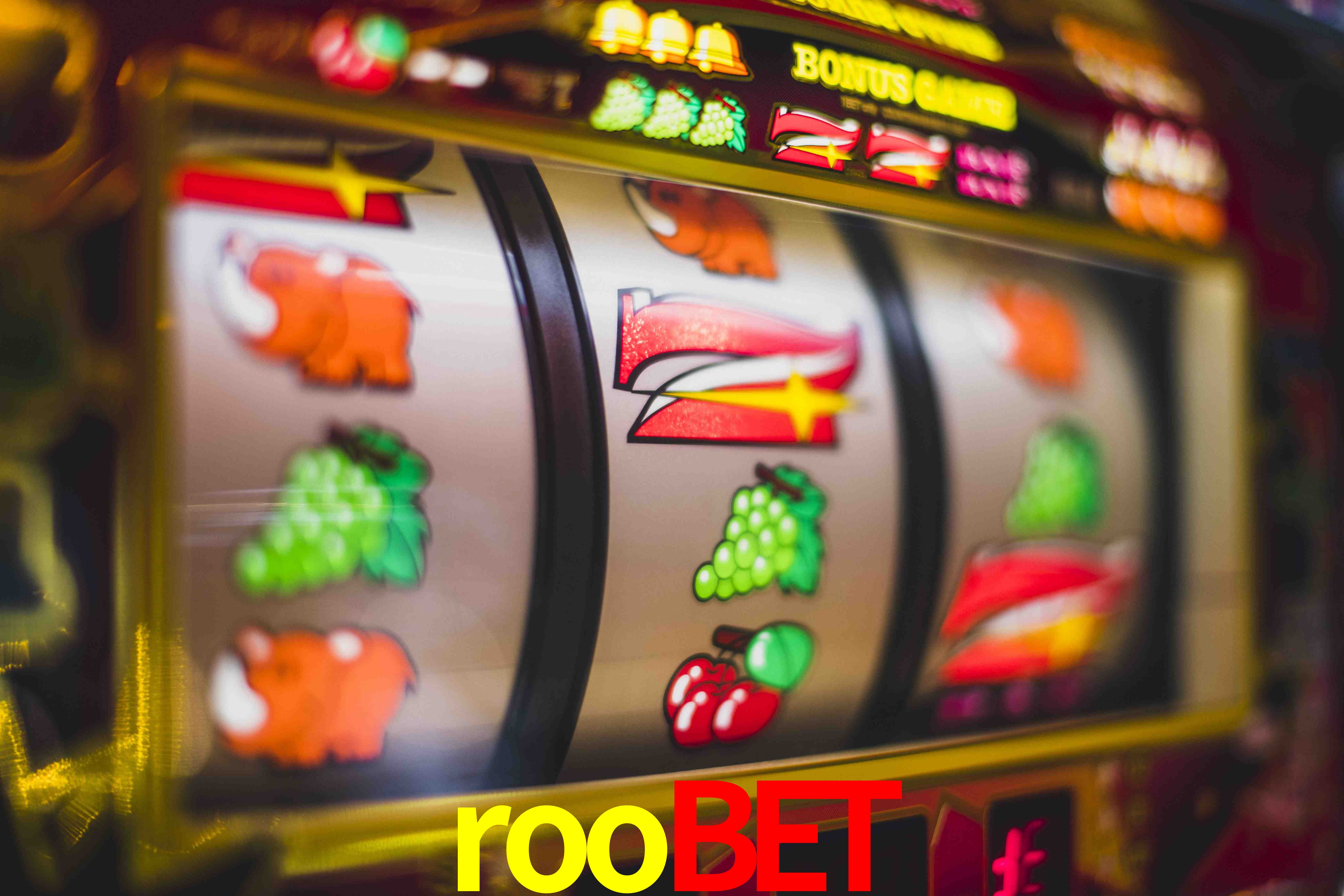 Football Betting roobet